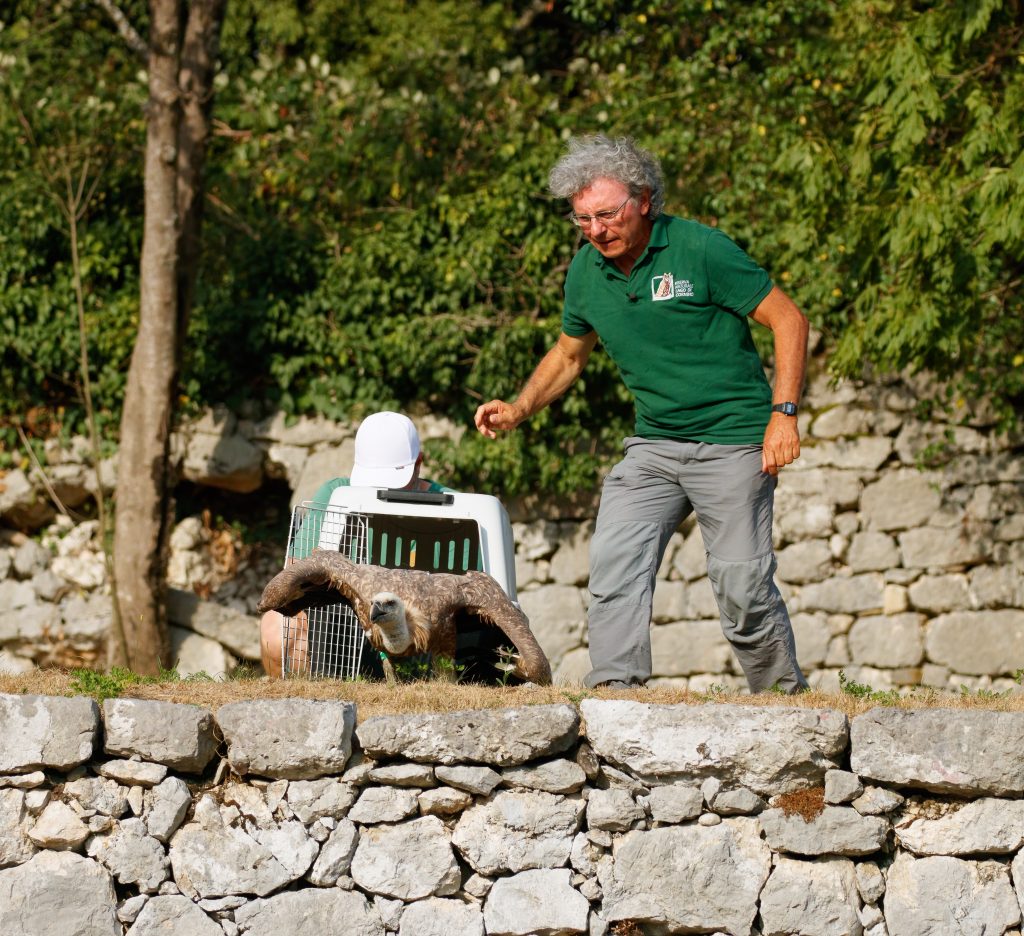 Foto di Alessandro Manfredi