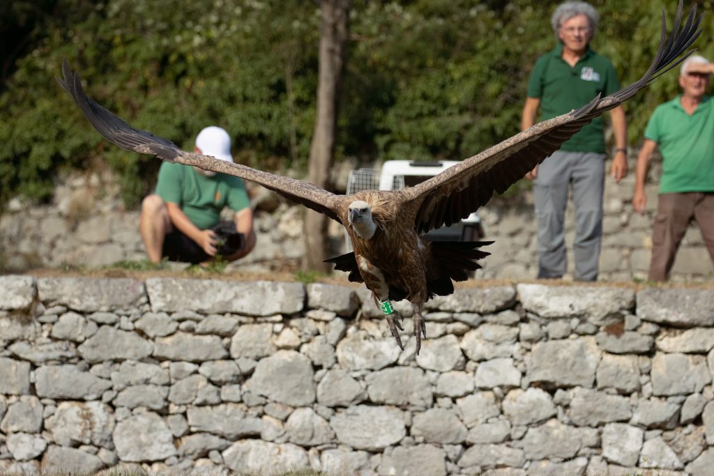 Foto di Alessandro Manfredi