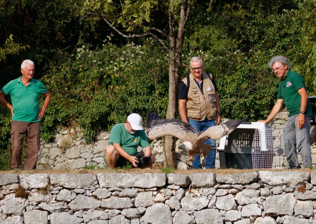 Foto di Alessandro Manfredi