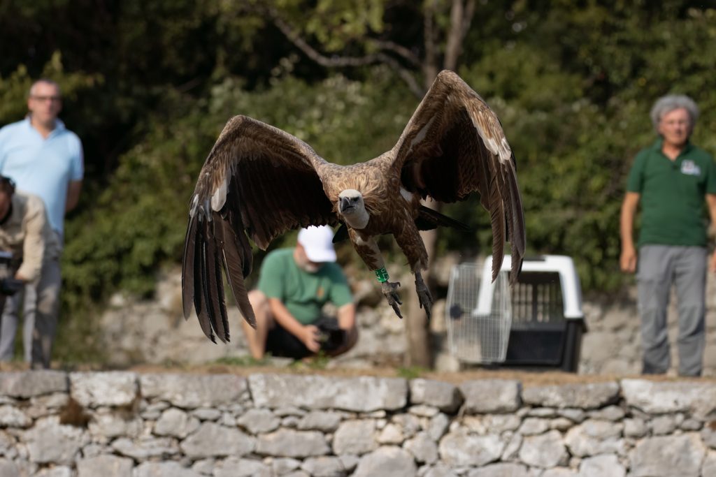 Foto di Alessandro Manfredi